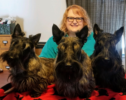 scottie dogs for adoption